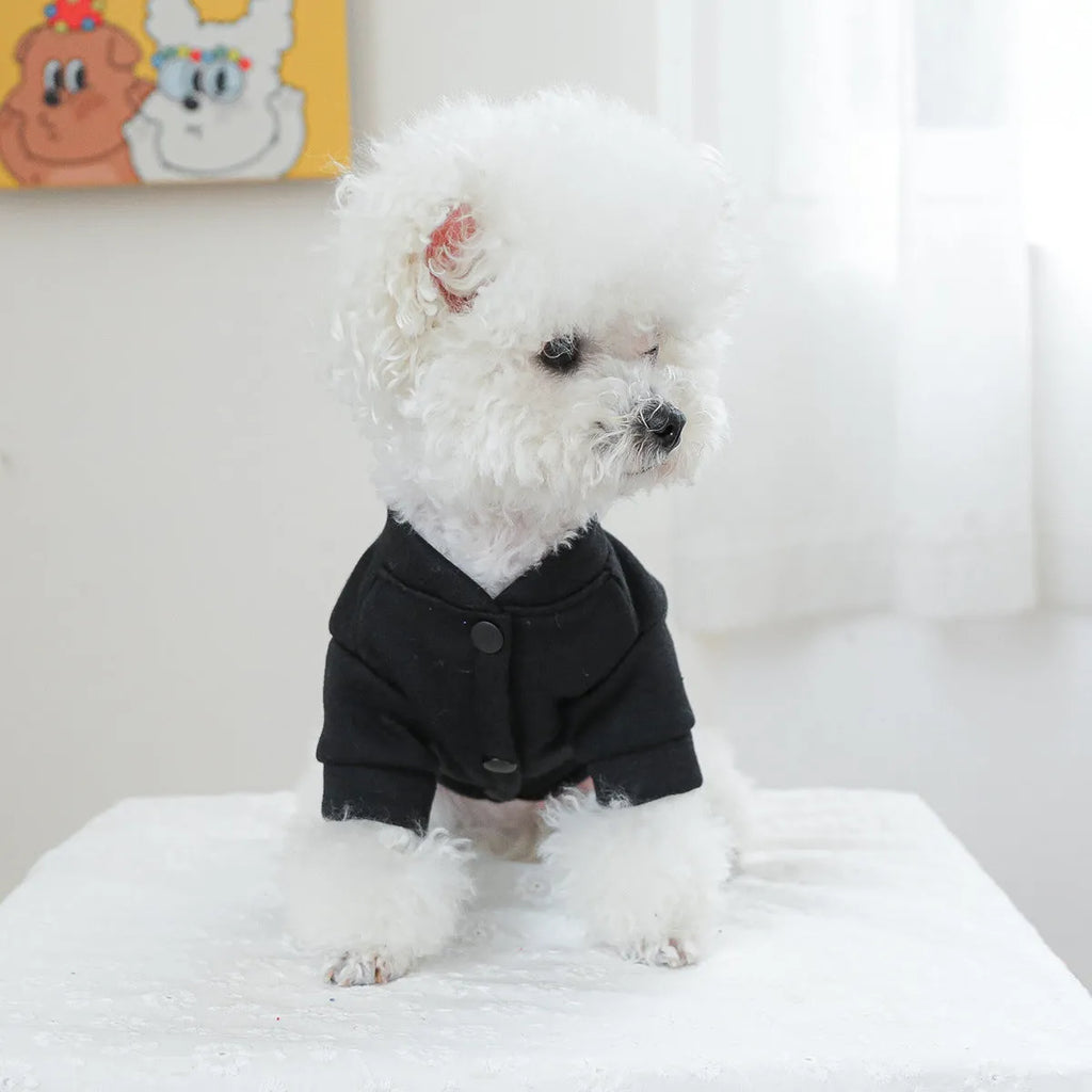 Dog wearing casual polyester pullover sweater with four-button front closure in Kiss sweater colour