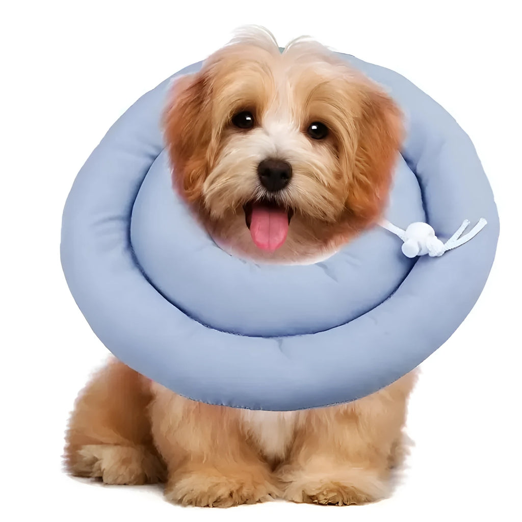 Blue waterproof Elizabethan recovery collar for dogs and cats with adjustable fastening