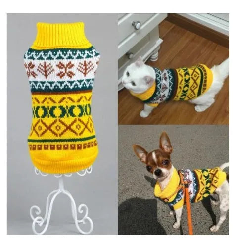 Acrylic dog sweater in yellow on a dog, pullover style, casual fit for small to large breeds
