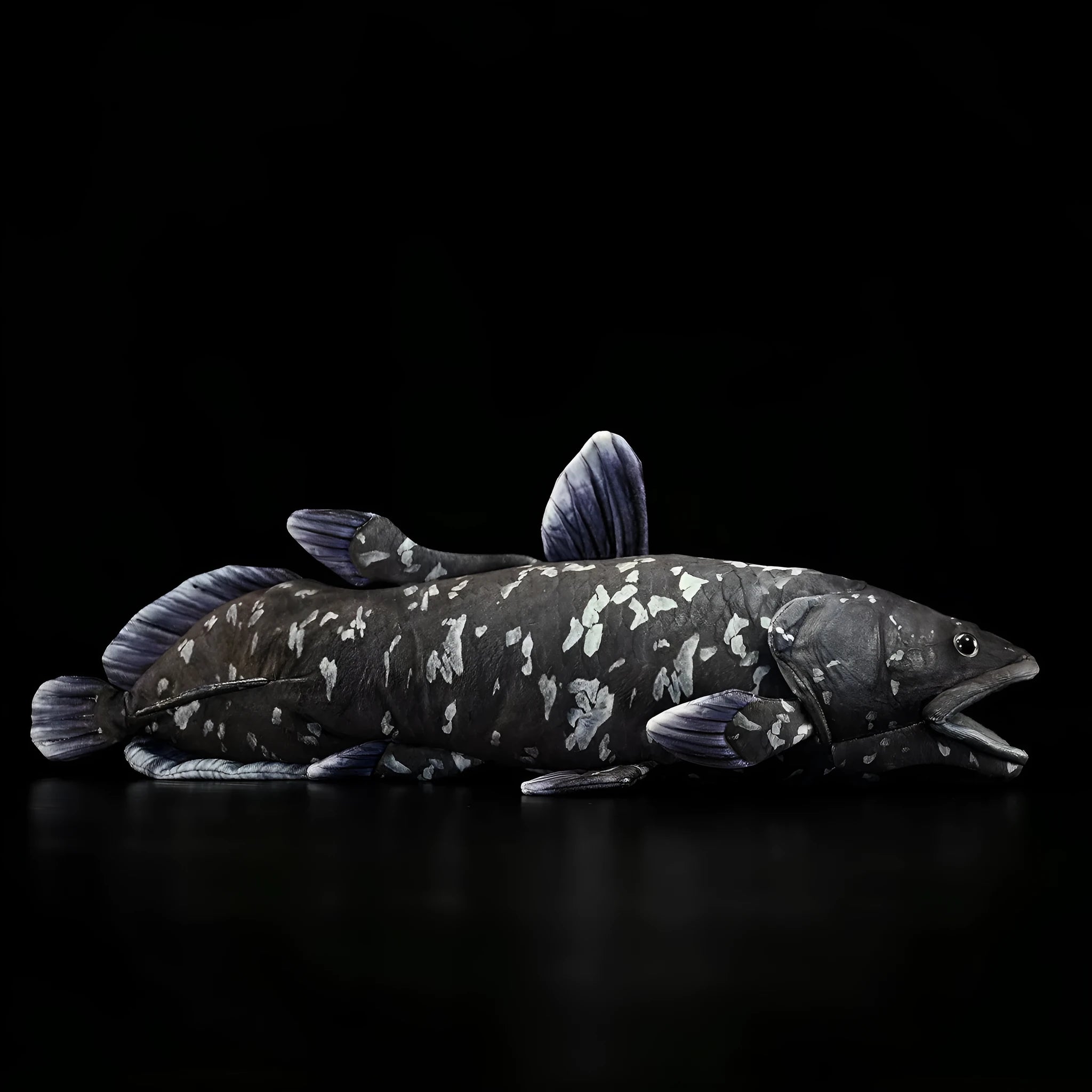 52cm printed coelacanth plush toy in black, made of soft plush and PP cotton filling