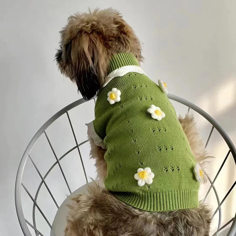 Green floral print knitted sweater for a small dog showing the fit and blossom pattern.