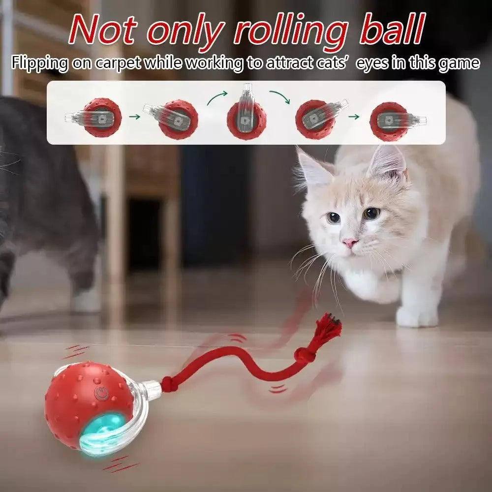 Blue interactive cat toy ball with automatic rotation mechanism for indoor pet entertainment