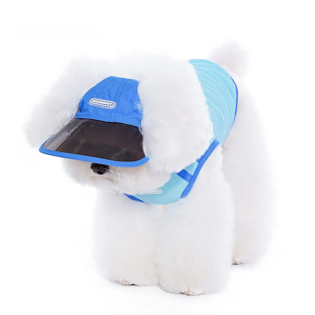 Blue nylon dog hat for small dogs, casual style, spring autumn, size S M L