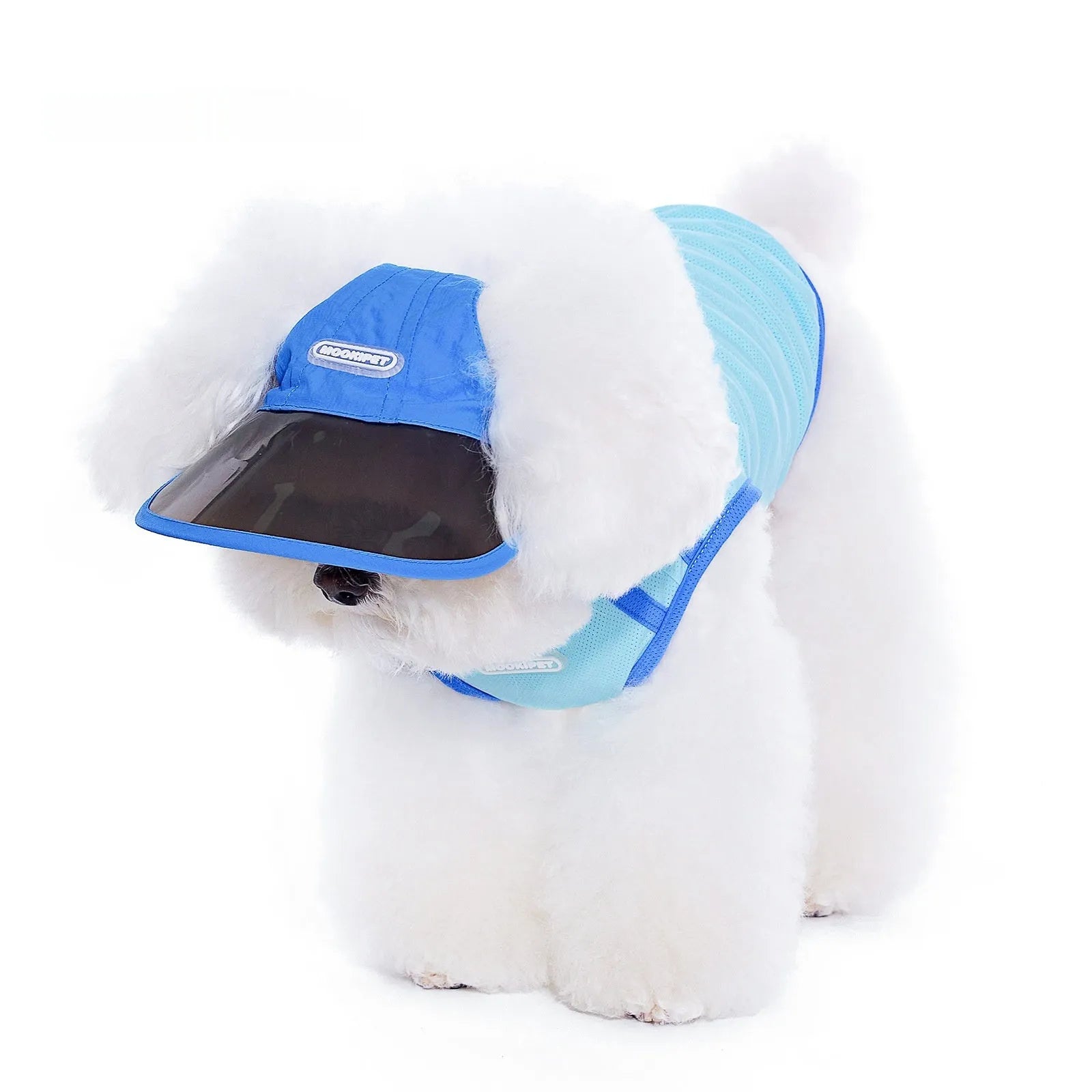 Blue nylon dog hat for small dogs, casual style, spring autumn, size S M L