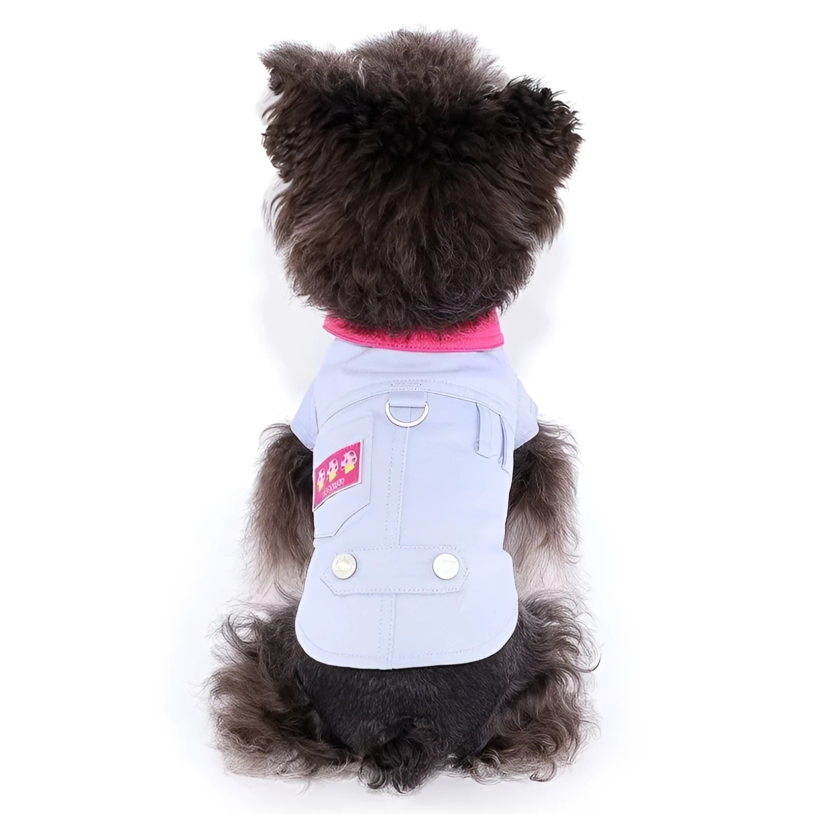 Blue and purple polyester vest for small dog with metal D-ring on chest.