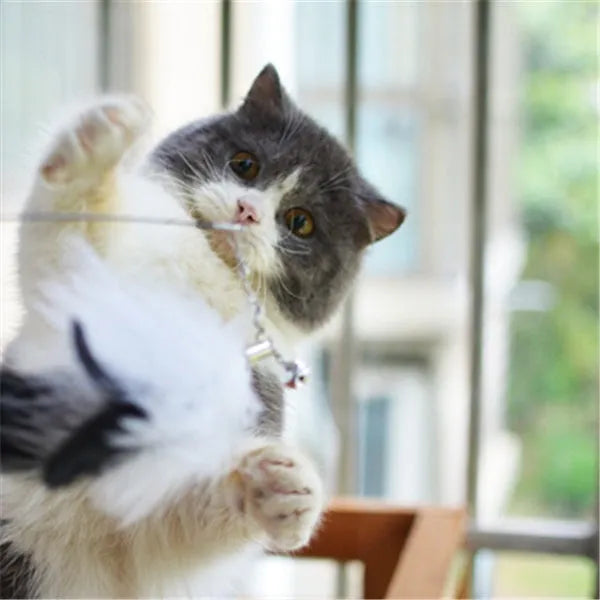 Cat toy funny cat stick with wooden handle, 80cm flexible rod, and black and white fur replacement heads