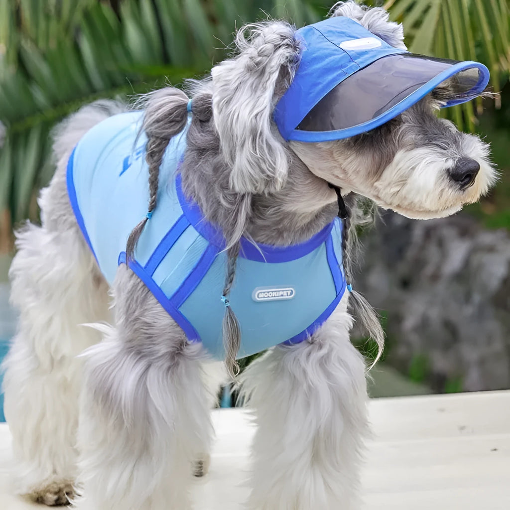 Blue nylon dog hat for small dogs, casual style, spring autumn, size S M L