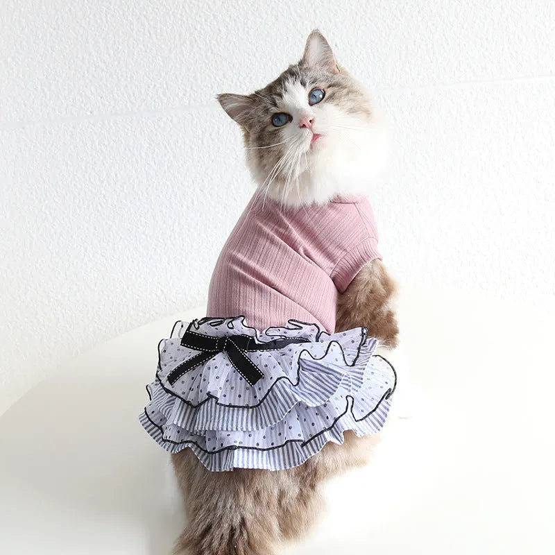 Polka dot lace cake dress for dogs in princess style with elastic back