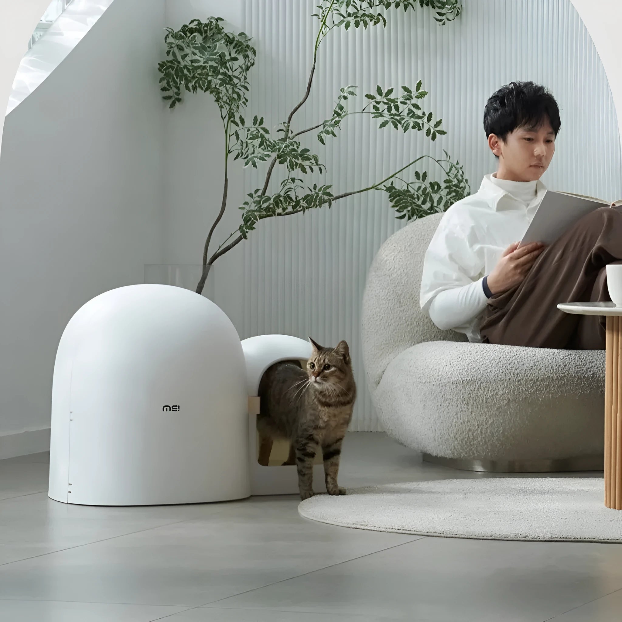 Fully enclosed oversized cat litter box in moss green colour, showing its dimensions and ABS plastic construction.