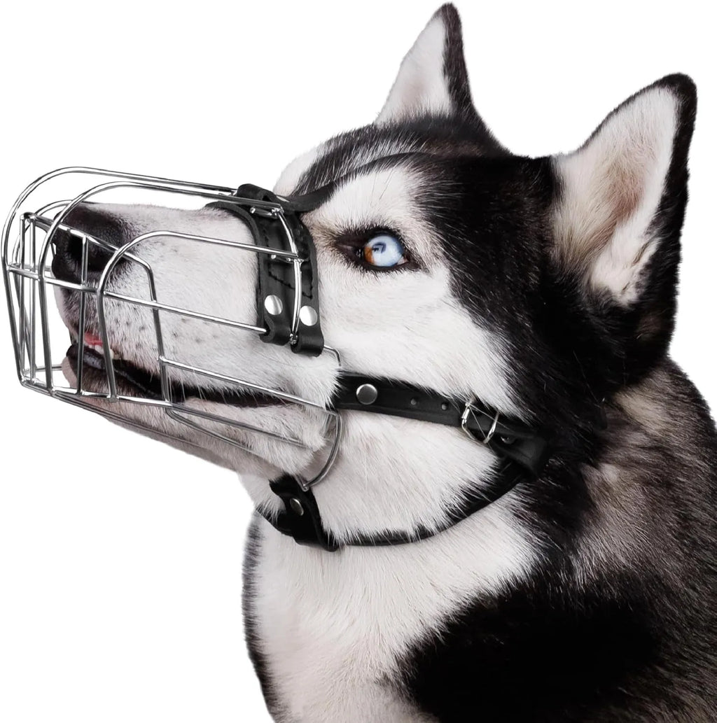 Black metal bar dog muzzle for a golden retriever or German shepherd