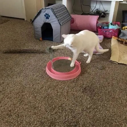 Blue circular cat scratcher toy with ball track and replaceable cardboard scratching surface