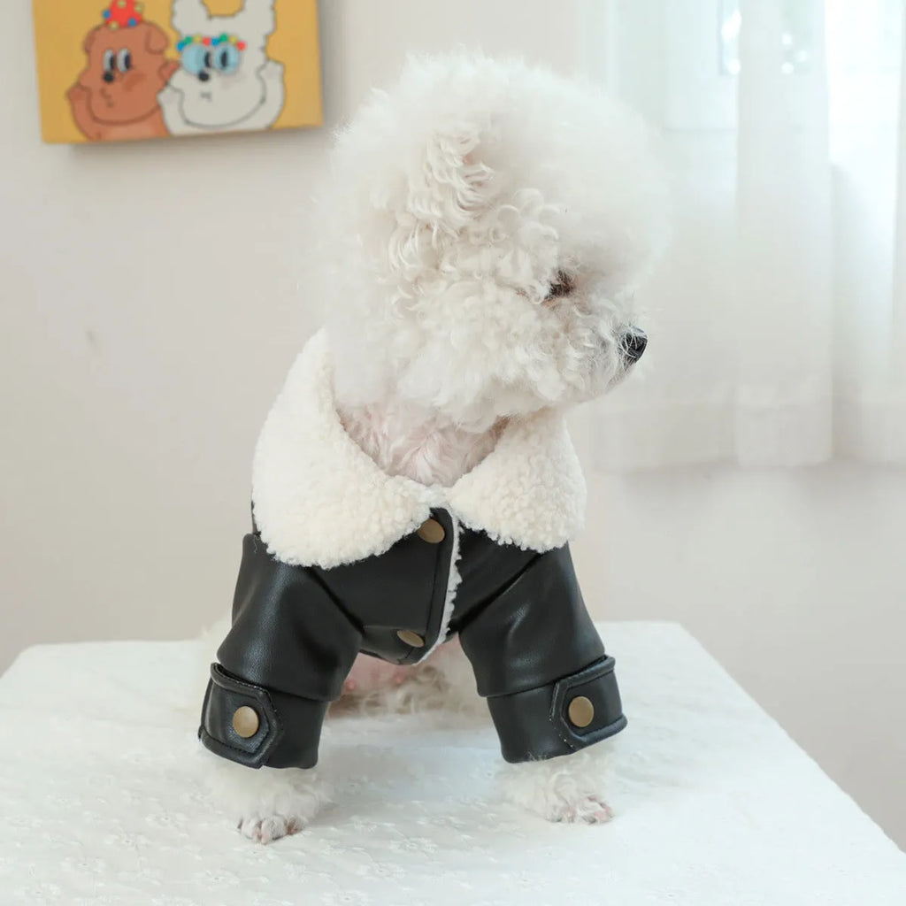 Dog wearing fleece lined padded coat with large fur trim collar in black colour