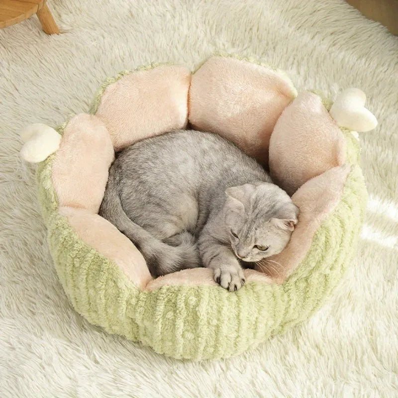 Cactus-themed cat litter kennel pet bed in purple or green, showing large and small size options