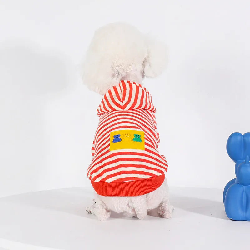 Orange cotton hooded dog sweater on a mannequin, Japanese Korean style