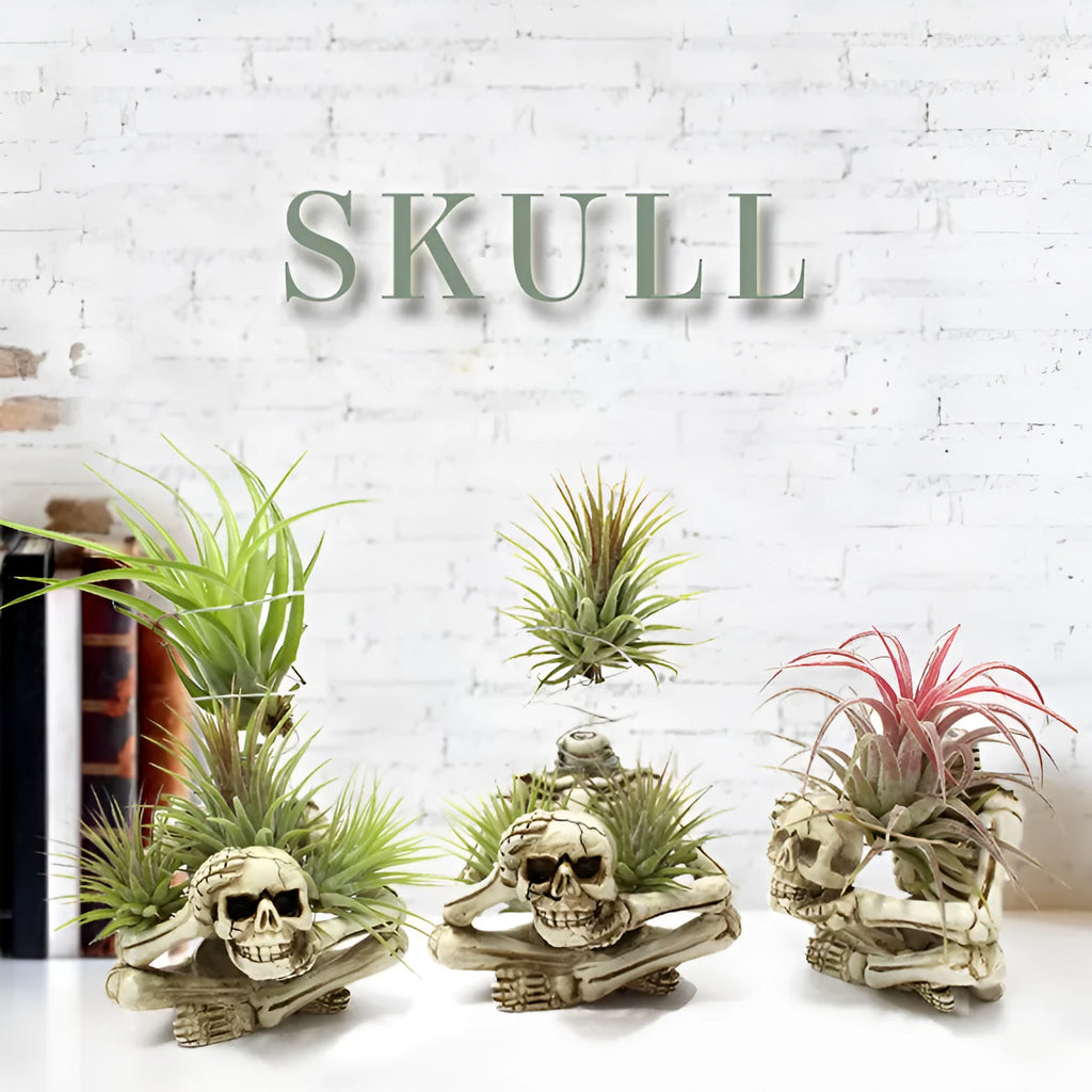 Gothic resin air plant bracket with skull ornament on iron base.
