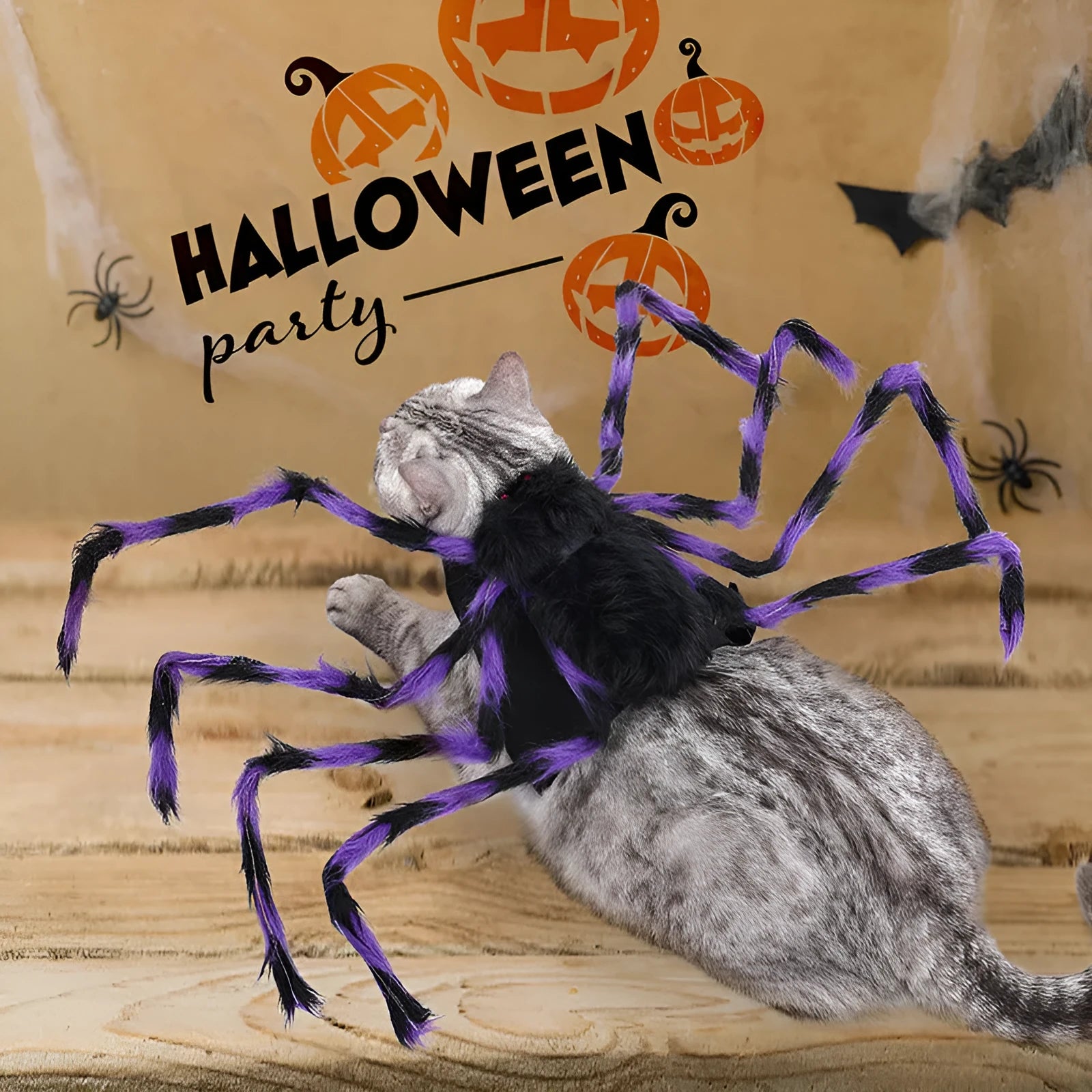 Halloween spider costume for pets on dog showing eight-legged design