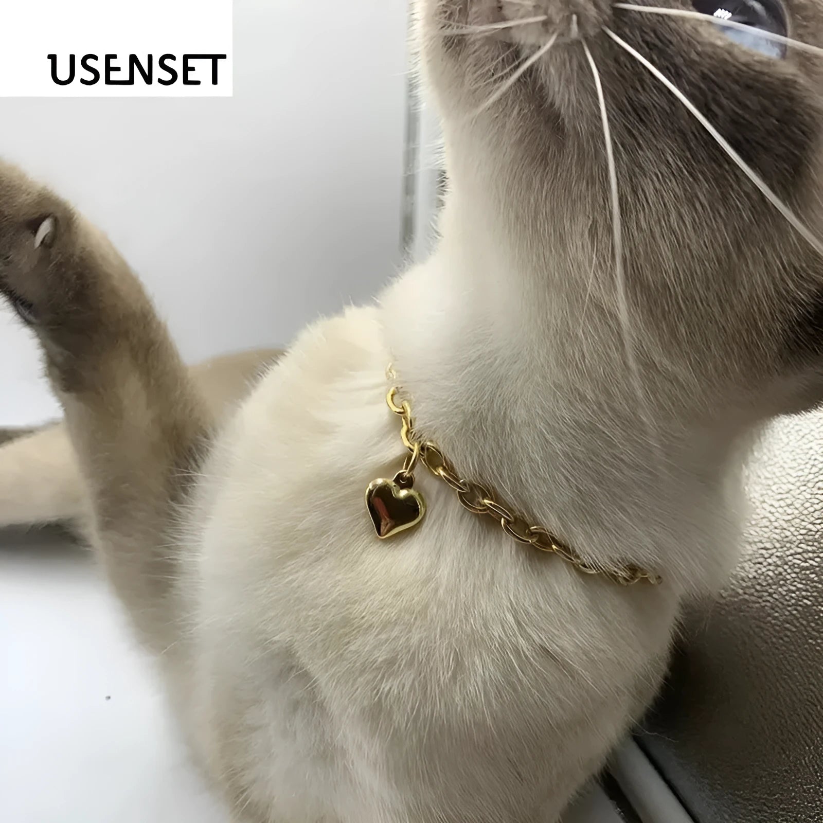 Stainless steel curb chain necklace with a detailed love heart pendant, shown in gold and silver finishes.