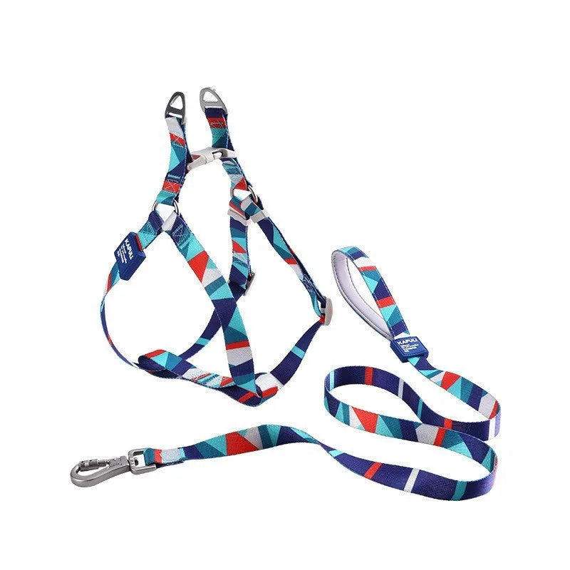 Blue polyester dog harness vest connected to a matching haulage rope on a grassy background.