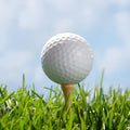 Sarin double deck golf ball, white two-layer competition ball, 42.6mm, 45g, 392 dimples