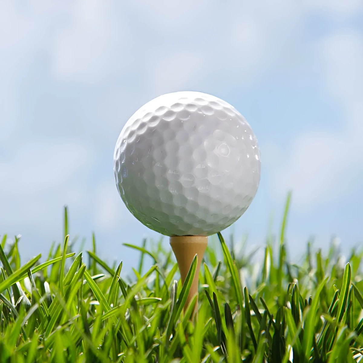 Sarin double deck golf ball, white two-layer competition ball, 42.6mm, 45g, 392 dimples