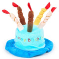 Blue adjustable dog birthday hat on small dog with measurements showing 21cm length 15cm width