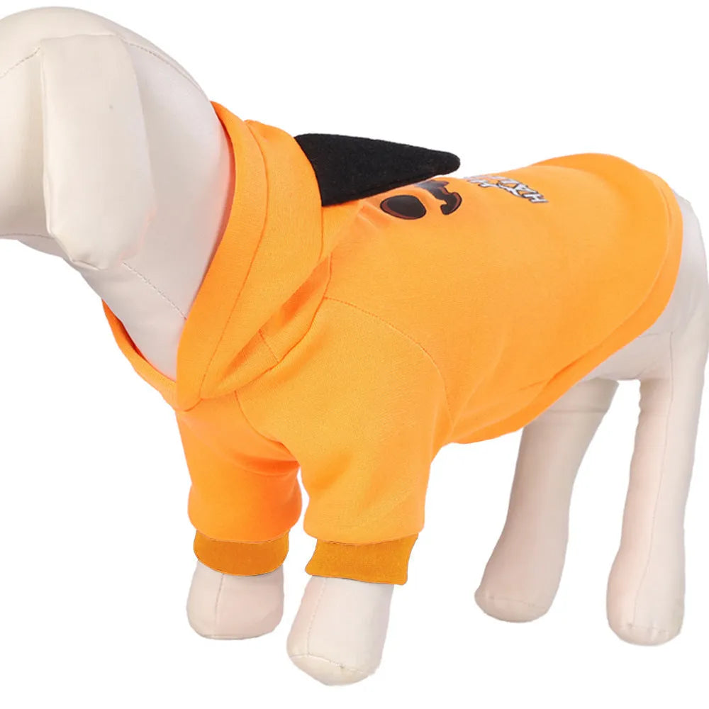 Halloween pumpkin flannel dog sweater in yellow on a small dog with orange pumpkin pattern