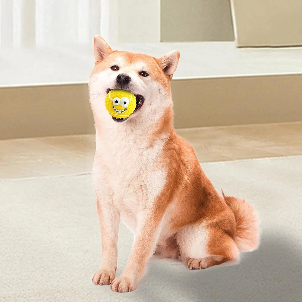 Set of four colourful latex dog balls with smile faces, suitable for small and medium pets