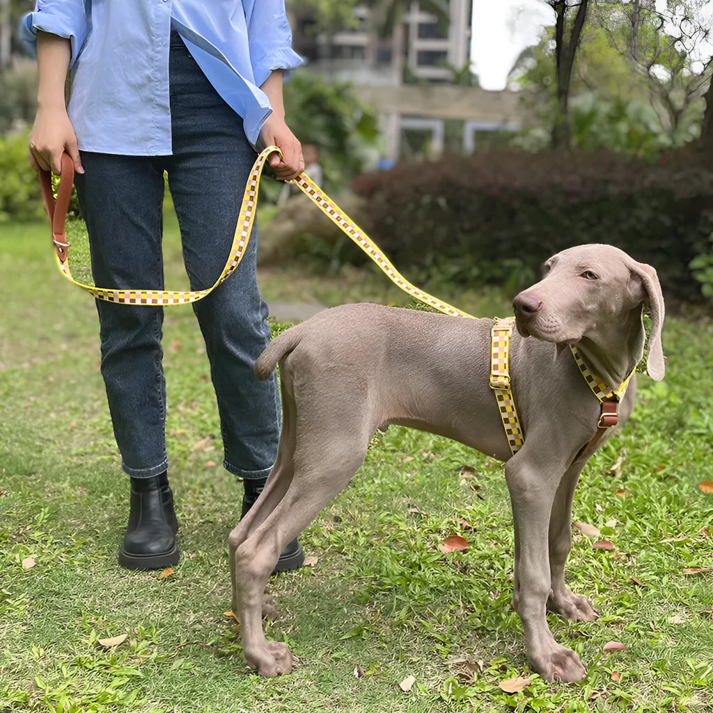I-shaped pet dog chest harness traction rope in four colours with leather rib fibre construction