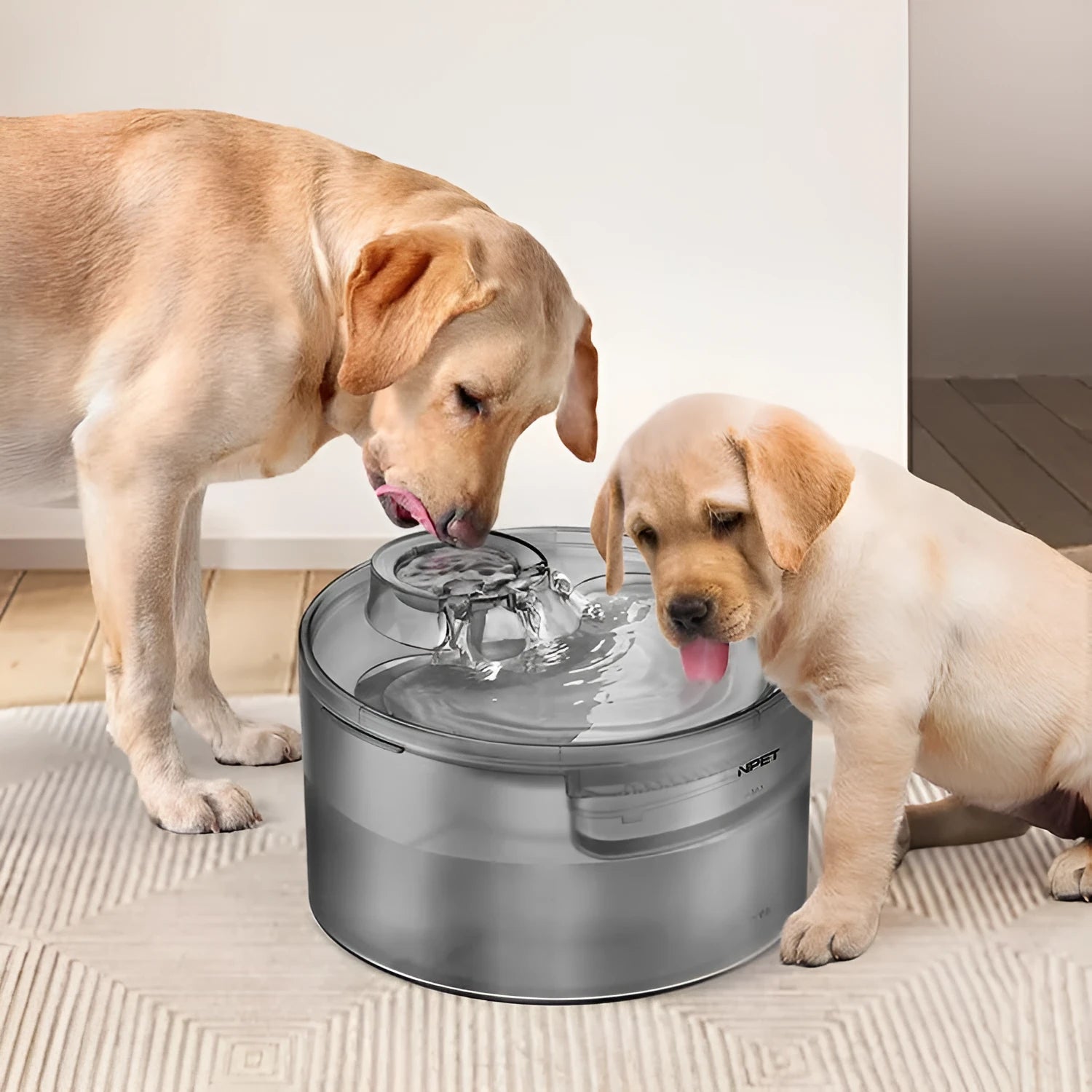 Automatic pet water fountain for cats and dogs with a water pump and filter cartridge.