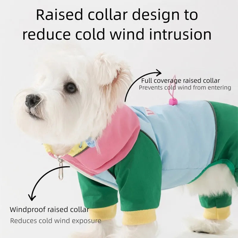 Waterproof 4-leg dog jumpsuit with hood in blue on a dog, reflective details visible