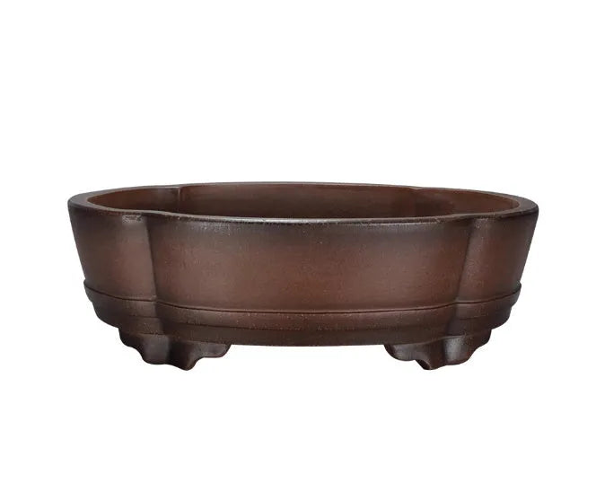 Large classical purple clay bonsai pot with simple green plant styling.