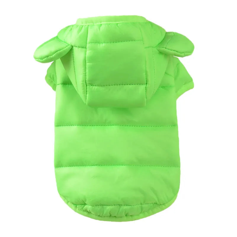 Small dog wearing bread down cotton jacket in bright colour for casual warm pet wear