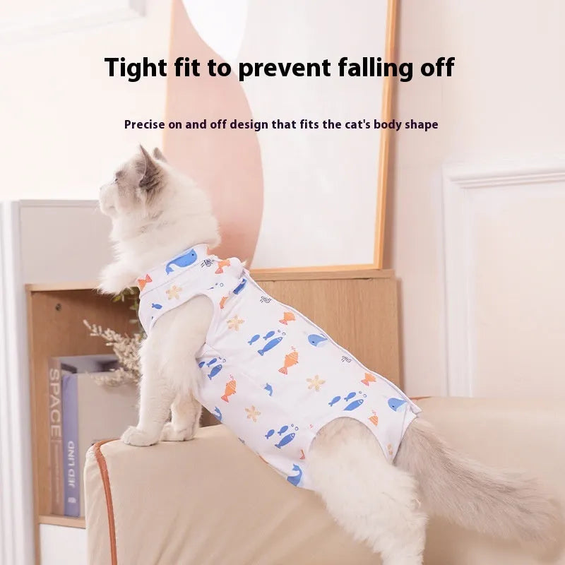 Cat wearing a blue polyester post-operative recovery suit with velcro fastenings on its back and neck.