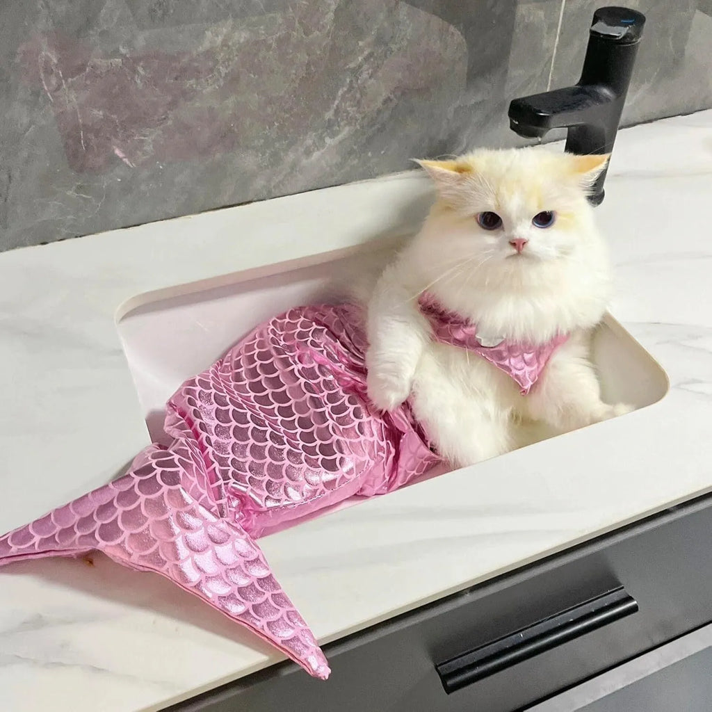 Blue pet mermaid costume with scale pattern and fish tail on a small cat.
