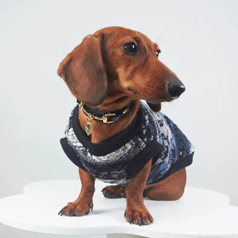 Blue geometric pattern thick warm pet vest on small dog, autumn winter clothing
