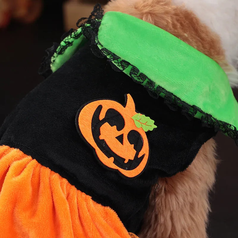 Halloween pet costume: orange pumpkin skirt and sweater for dog or cat made from crystal velvet fabric
