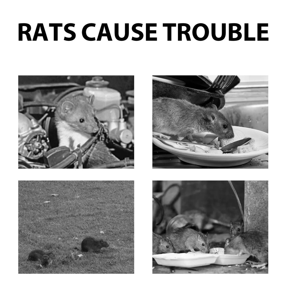 Natural rat repellent spray bottle with essential oil formula for home and car rodent protection
