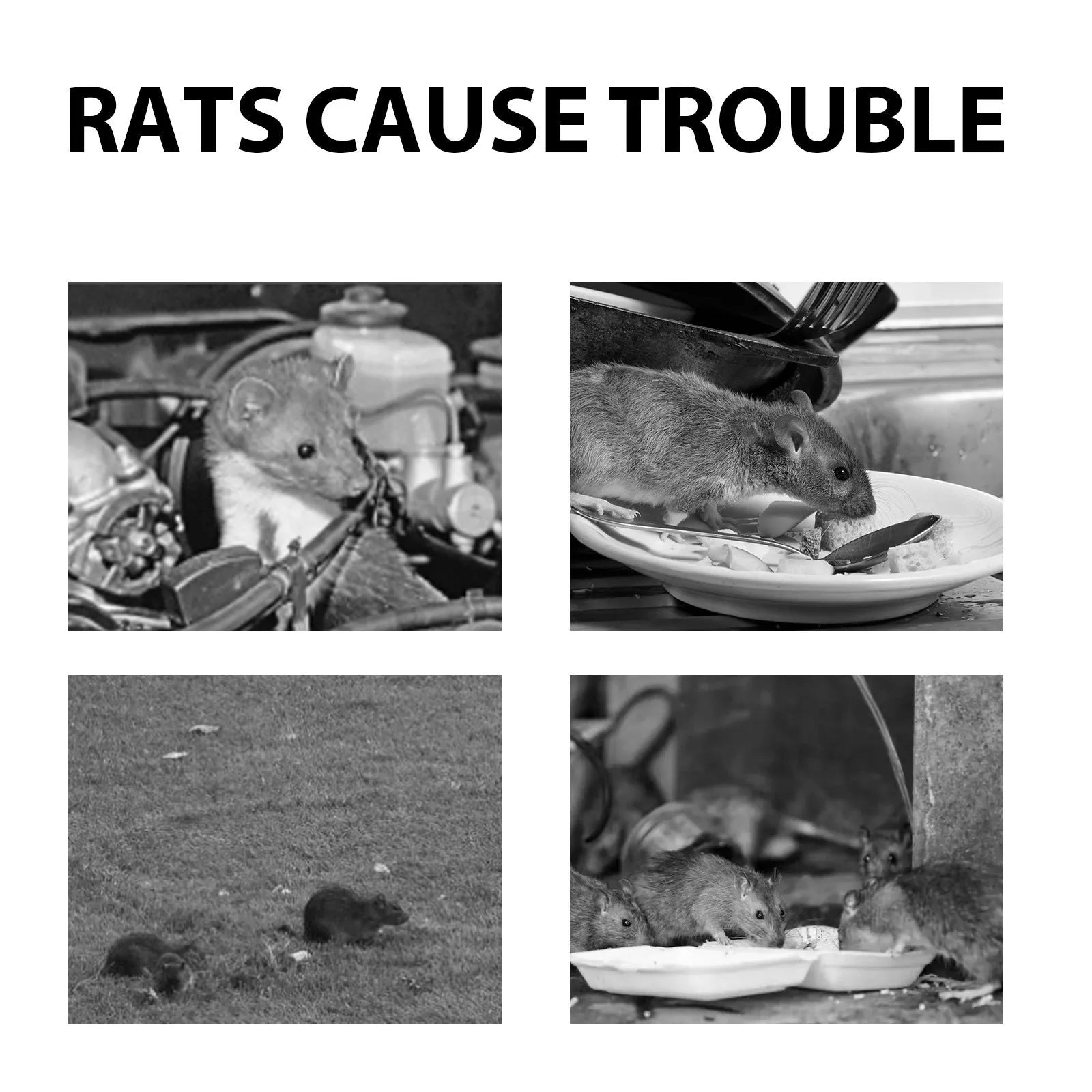Natural rat repellent spray bottle with essential oil formula for home and car rodent protection