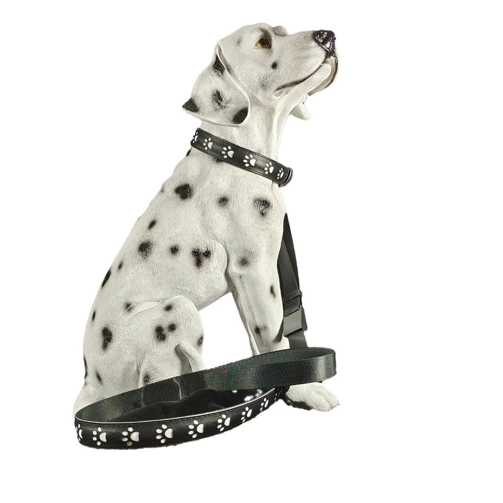 A dog wearing a black polyester collar with multicoloured LED lights illuminated around its neck.