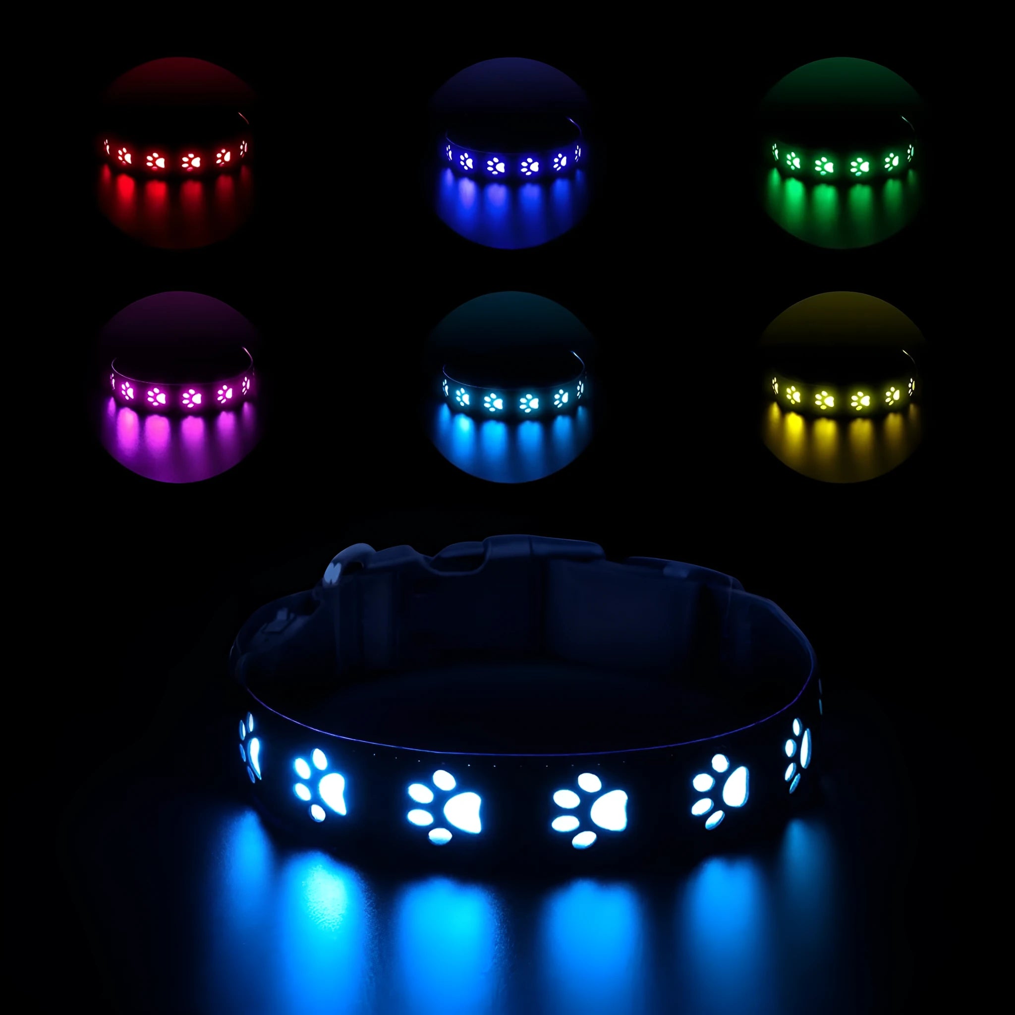 A dog wearing a black polyester collar with multicoloured LED lights illuminated around its neck.