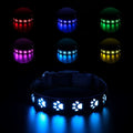 A dog wearing a black polyester collar with multicoloured LED lights illuminated around its neck.