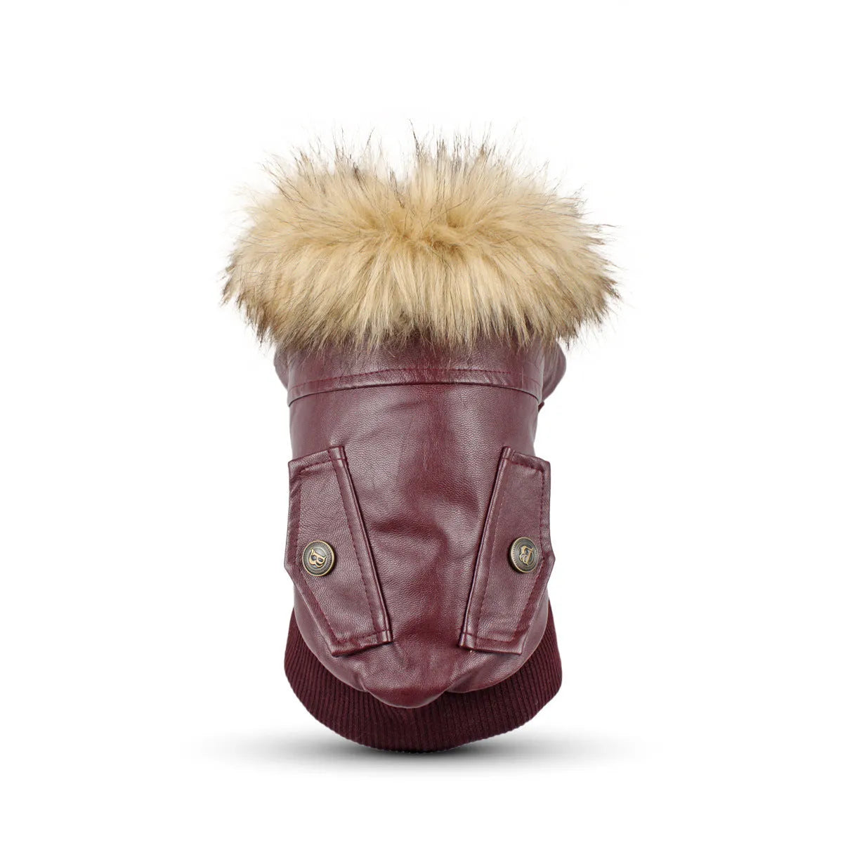 Leather dog coat with fur collar in British style design for autumn and winter