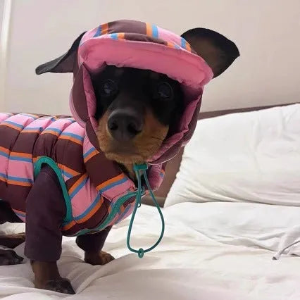 Dirty pink striped polyester dog vest with a matching winter hat for small breed dogs.