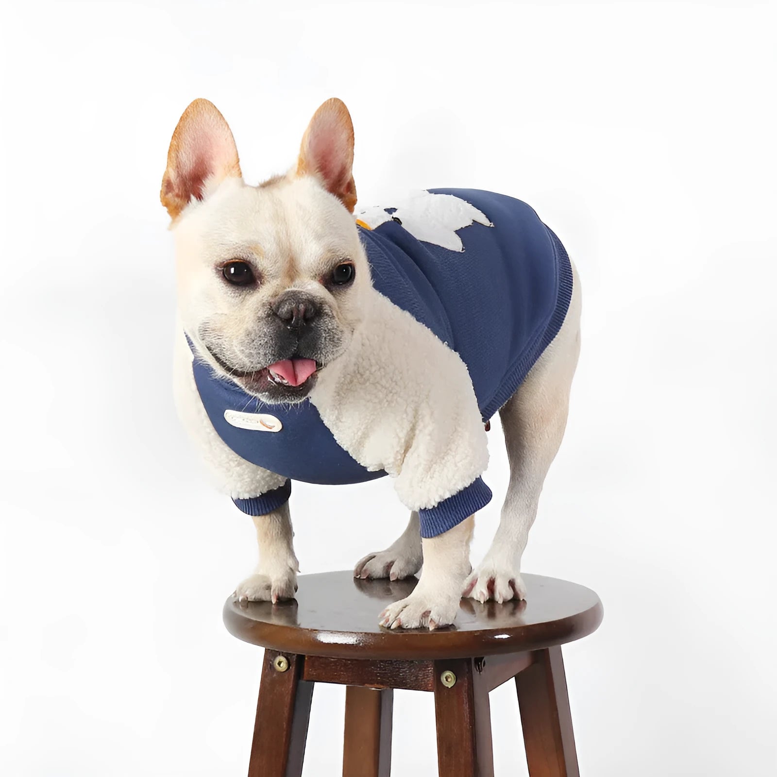 Dark blue fleece-lined cotton winter jacket for a large dog on a mannequin.