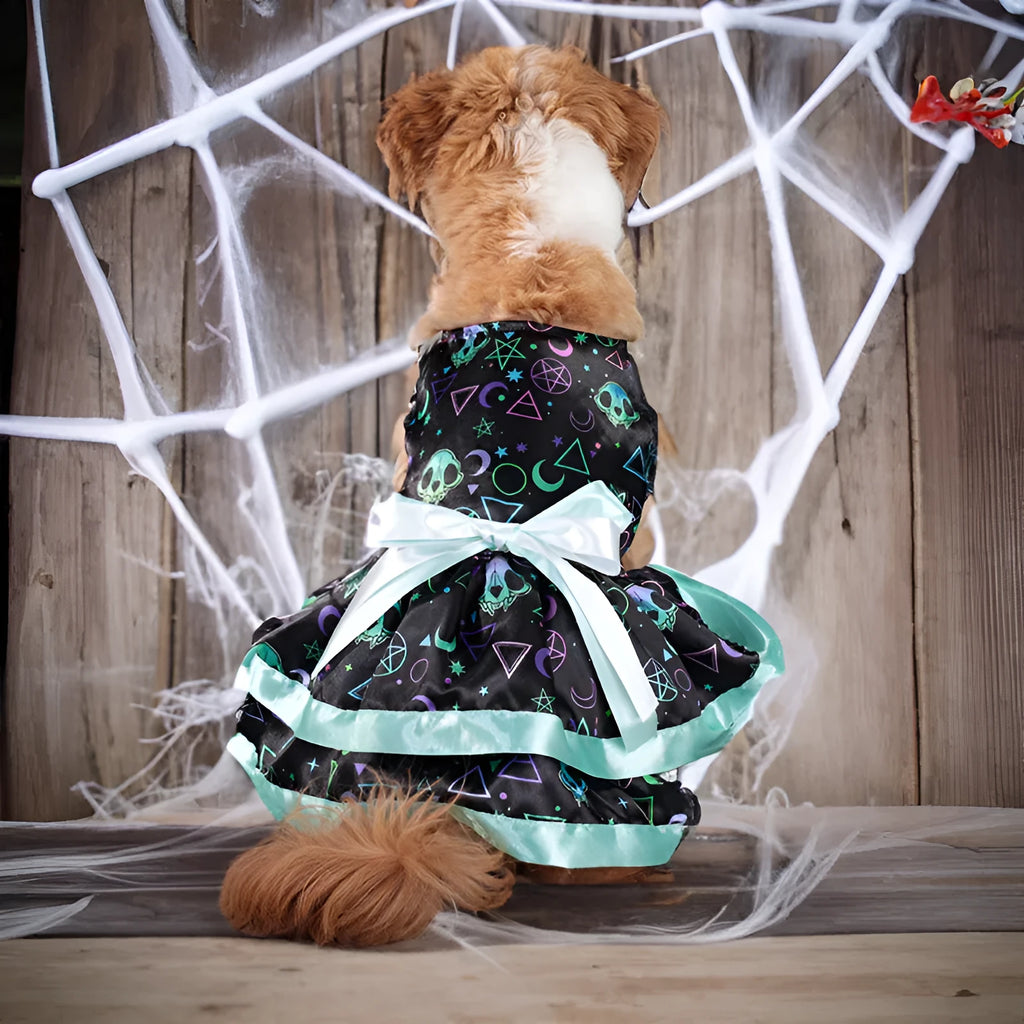 Halloween dog skirt with adjustable waistband in colourful pumpkin design