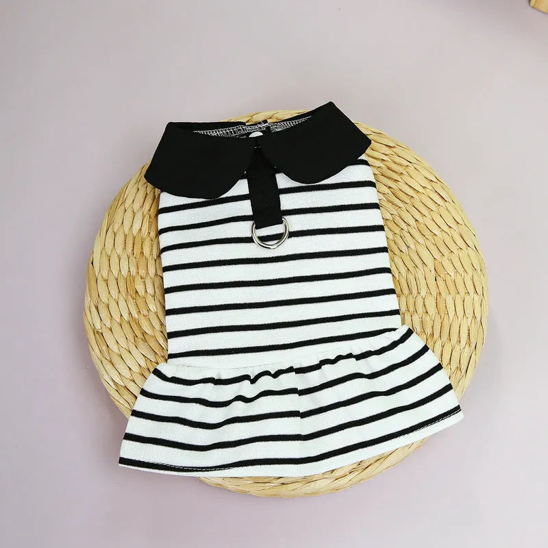 Pet dog wearing striped cotton T-shirt and matching skirt summer outfit set