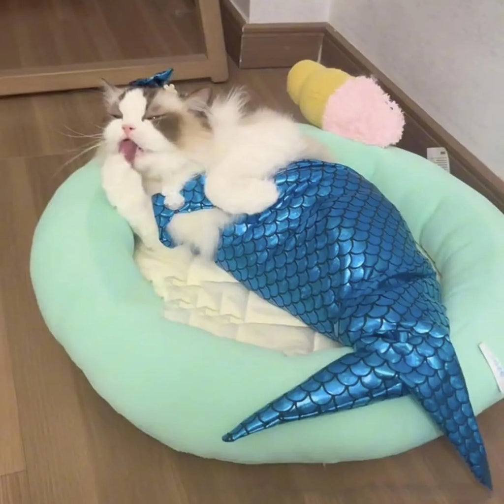 Blue pet mermaid costume with scale pattern and fish tail on a small cat.