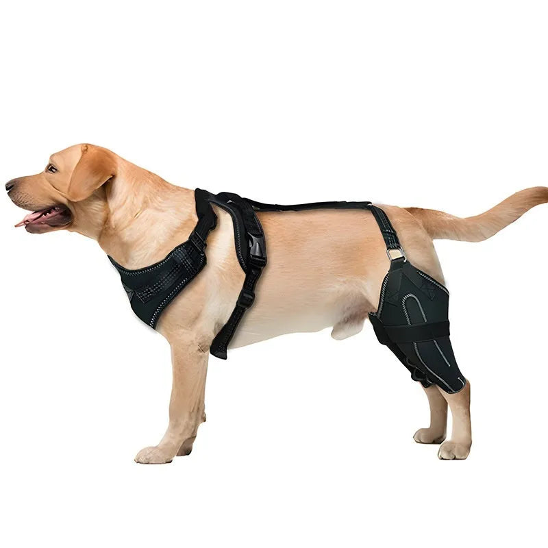 Black polyester dog thigh protective sleeve with adjustable metal support on canine leg