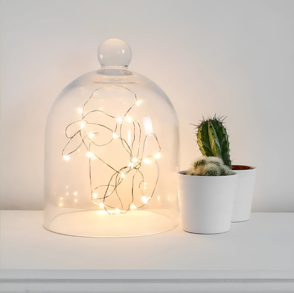 Copper wire LED light string with battery box showing flexible decorative lighting