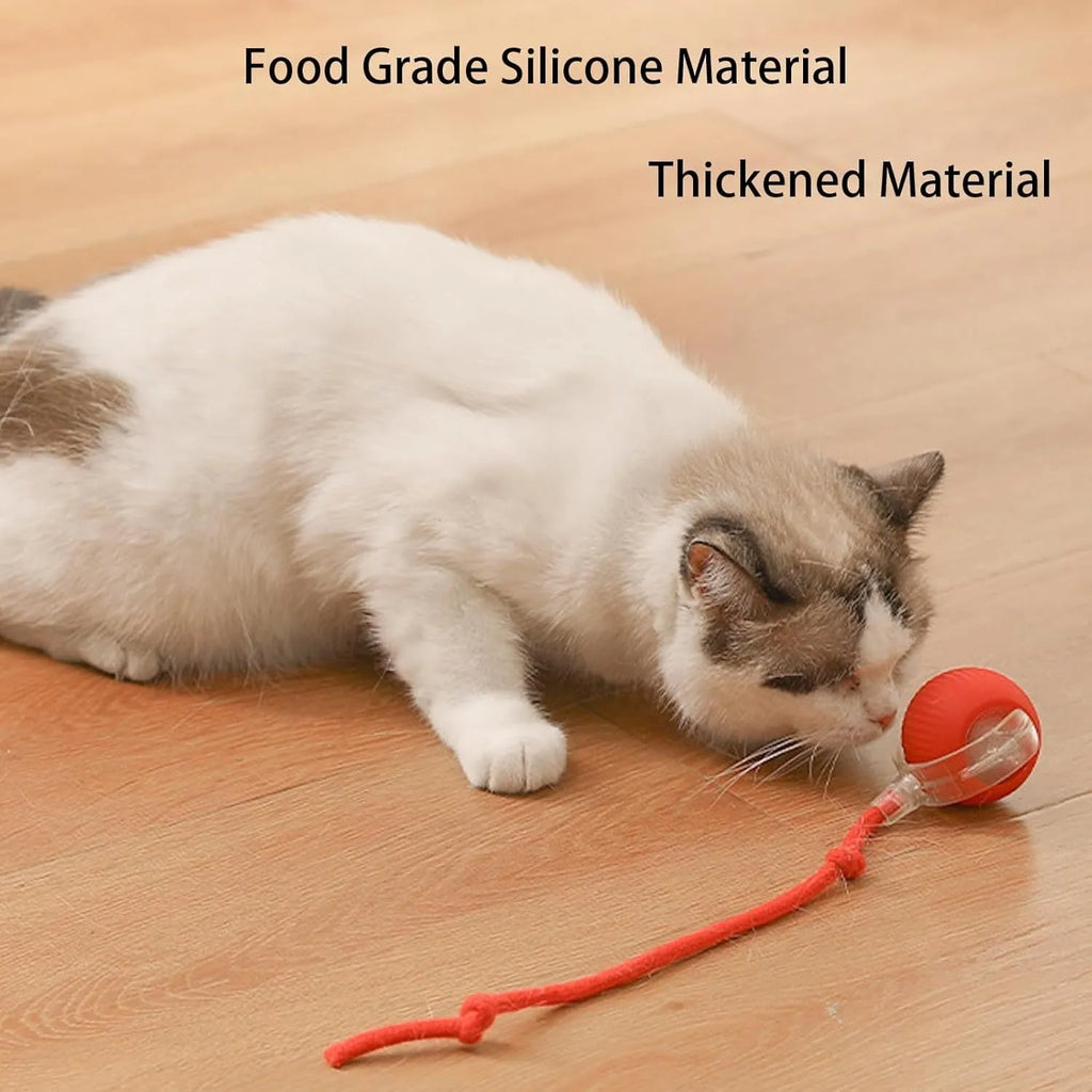 Automatic rolling ball toy for dogs and cats with hanging rope in red colour
